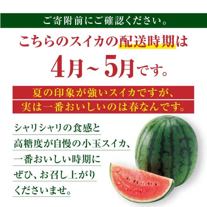 【先行予約】熊本スイカ小玉スイカひとりじめ2玉2Lサイズ西瓜すいかZCM011