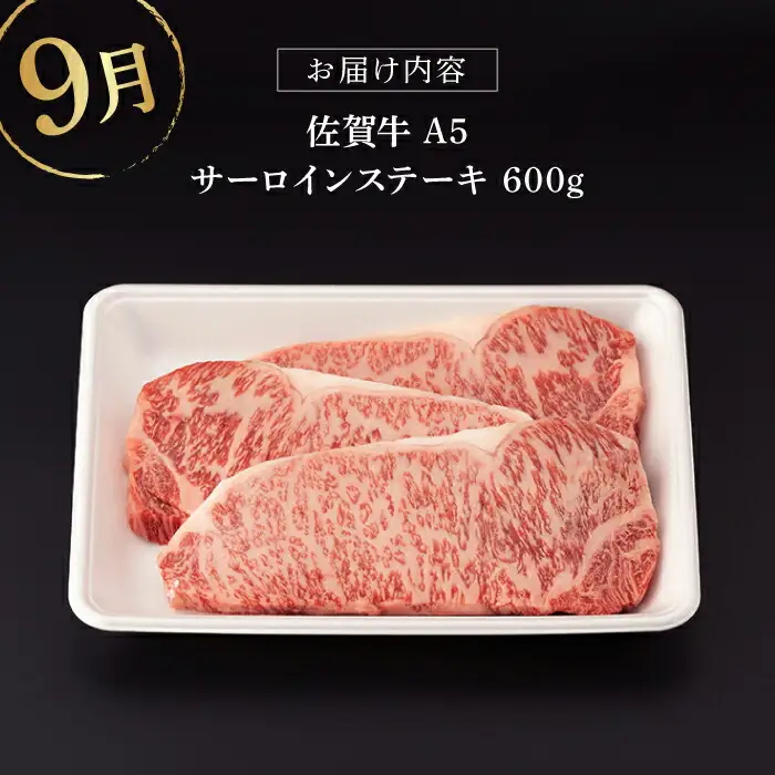 【定期便】 牛肉 佐賀牛 夏の定期便 NAB105 牛肉
