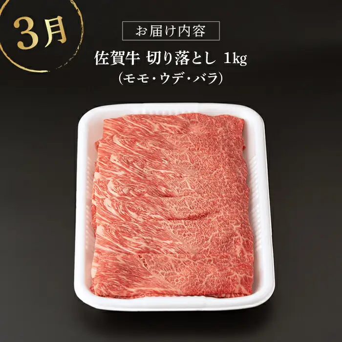 【定期便】 牛肉 佐賀牛 冬の定期便 NAB108 牛肉