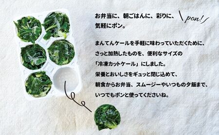 冷凍カットケール まんてんケール 野菜 冷凍カットケール【冷凍】