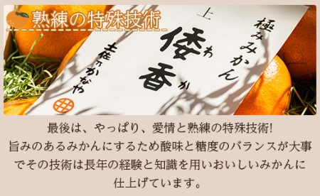 【2027年1月中旬より順次配送】献上みかん「倭香(わか)」2.8kg みかん be-0105