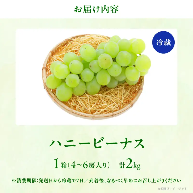 ≪期間限定≫都農町産ハニービーナス(計2kg) ぶどう フルーツ 果物 デザート 国産_T015-0035