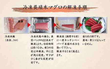 本マグロ トロ＆赤身セット 1kg 【nks105B】