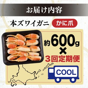 訳あり ズワイガニ 爪 600g 冷凍 ボイル 【定期便 3回お届け】 ずわいがに ずわい蟹 カニ かに 蟹 しゃぶしゃぶ カニしゃぶ  サイズ違い 不揃い 規格外 年末年始 お歳暮 正月 ギフト 2025