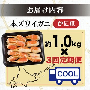 訳あり ズワイガニ 爪 1kg 冷凍 ボイル 【定期便 3回お届け】 ずわいがに ずわい蟹 カニ かに 蟹 しゃぶしゃぶ カニしゃぶ  サイズ違い 不揃い 規格外 年末年始 お歳暮 正月 ギフト 2025