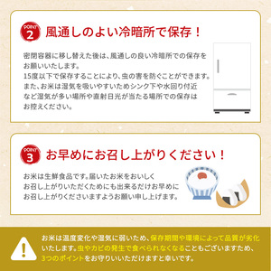 お米 ミルキークイーン 10kg 令和6年産 近江米 お米