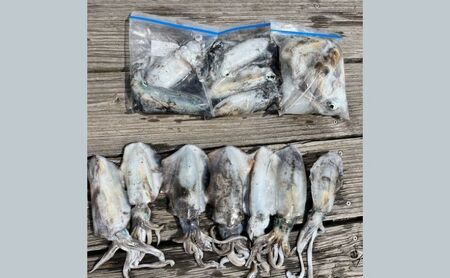 船釣り体験瀬戸内海家島遊漁船体験チケット船釣り体験【1日10名まで】