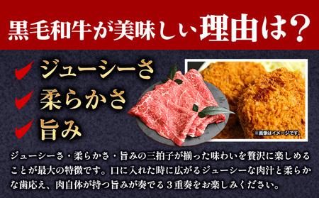 メンチカツ 黒毛和牛メンチカツ 約120g×6個 絶品 ブランド牛 黒毛和種 有限会社トップルーフ《30日以内に出荷予定(土日祝除く)》熊本県 大津町 送料無料 st-p