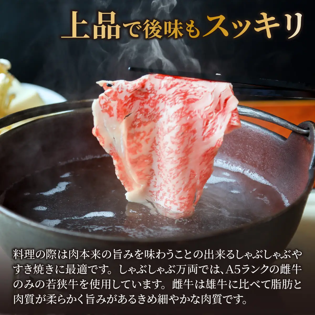 若狭牛A5ランクお試しセット[B-037010]