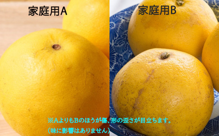 成田果樹園 土佐文旦 10kg 家庭用B 文旦