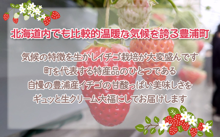 北海道 豊浦町 生クリーム大福いちご 10個