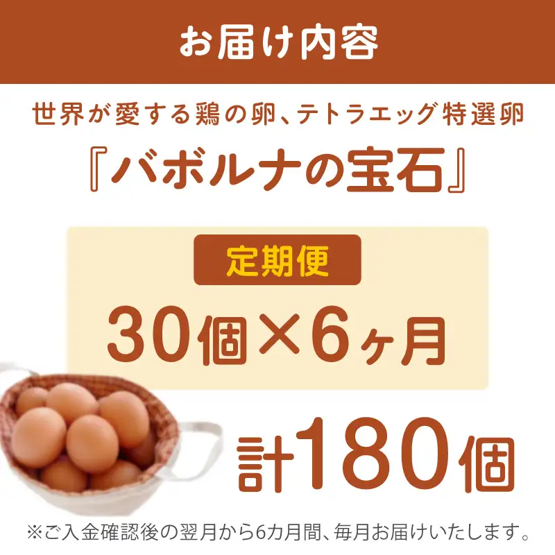 テトラエッグ特選卵『バボルナの宝石』（30個/月）【6カ月定期便】【E7-004】
