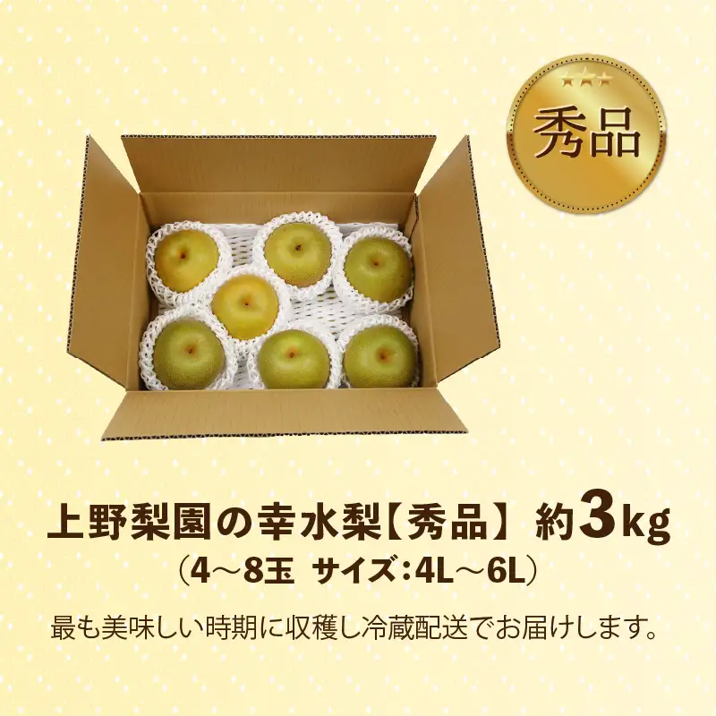 【先行予約】上野梨園の幸水梨 約3kg  4L～6L【秀品】《数量限定》梨園直送！ / 期間限定 果物 フルーツ 農家直送 シャキシャキ もぎたて 旬 お取り寄せ ※2027年8月下旬より順次発送 [aw077-a024]