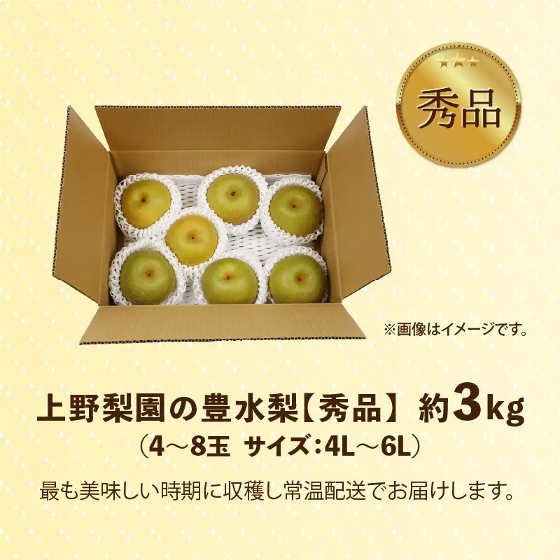 【先行予約】上野梨園の豊水梨  約3kg  4L～6L【秀品】《数量限定》梨園直送！ / 期間限定 果物 フルーツ 農家直送 シャキシャキ もぎたて 旬 お取り寄せ ※2026年9月上旬より順次発送 [aw077-a025]