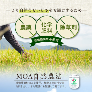 【先行予約】令和8年産 新米 【定期便3回】カワノ農園　MOA自然農法米「森のくまさん」白米5kg 米 無農薬 ブランド米 自然農法プラチナ 白米 カワノ農園 安心 安全 体に優しい 食品 送料無料【熊本県宇土市】_U70-T270_1