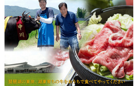 令和4年度 全国肉用牛枝肉共励会 最優秀賞受賞 中川畜産 近江牛 ヒレステーキ 2枚/計300g （株）高島屋洛西店 滋賀県 東近江市 F-E04 和牛 ヒレ肉 ステーキ 肉 牛肉 ギフト お取り寄せ 高級 近江牛 希少部位