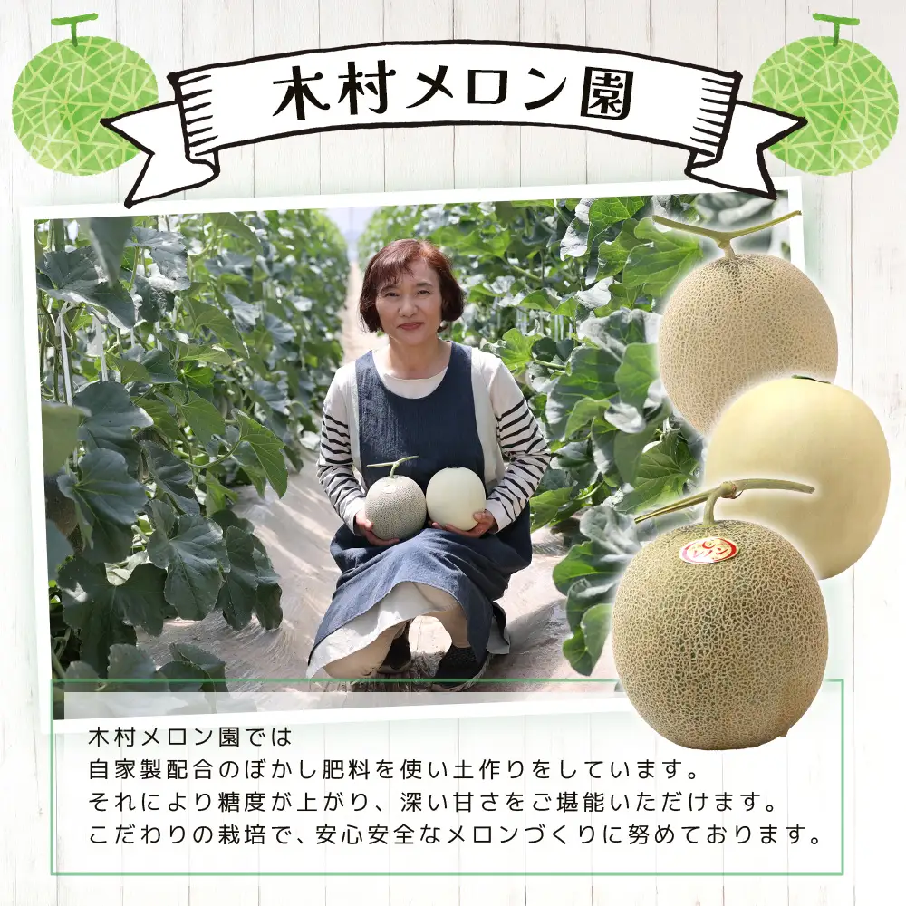 【2027年分 予約】 オレンジの果肉メロン「レノンハート」2玉 (合計約3.5kg以上) 2027年4月下旬～発送 令和9年 予約 フルーツ 果物 高糖度 めろん なめらかな果肉 果物 贈り物 赤肉 メロン 013-0559