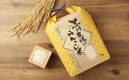 【5ヶ月定期便】らんこし米（ゆめぴりか） 5kg（黒川農場）【2024年10月下旬発送開始】