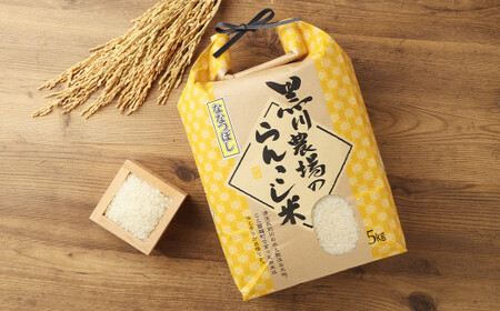 【10ヶ月定期便】らんこし米（ななつぼし）5kg（黒川農場）【2024年10月下旬発送開始】
