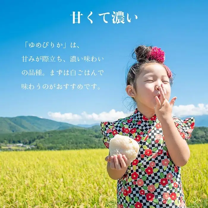 【令和7年産・無洗米・真空パック・特別栽培】 あさひかわ産 ゆめぴりか 2kg×3袋 定期便2ヶ月 | ゆめぴりか _03133