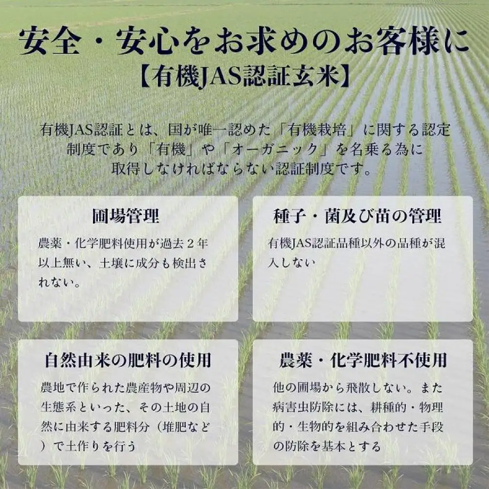【令和7年産・玄米・真空パック・有機農産物】 あさひかわ産 ななつぼし玄米 2kg×3袋 | ななつぼし _03124