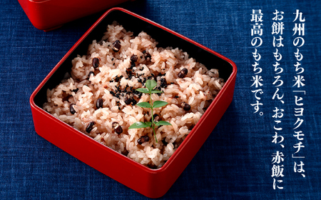 AD248.【期間限定】立花山で育てた九州のブランド米・味くらべ＆プラスワンセットミニ