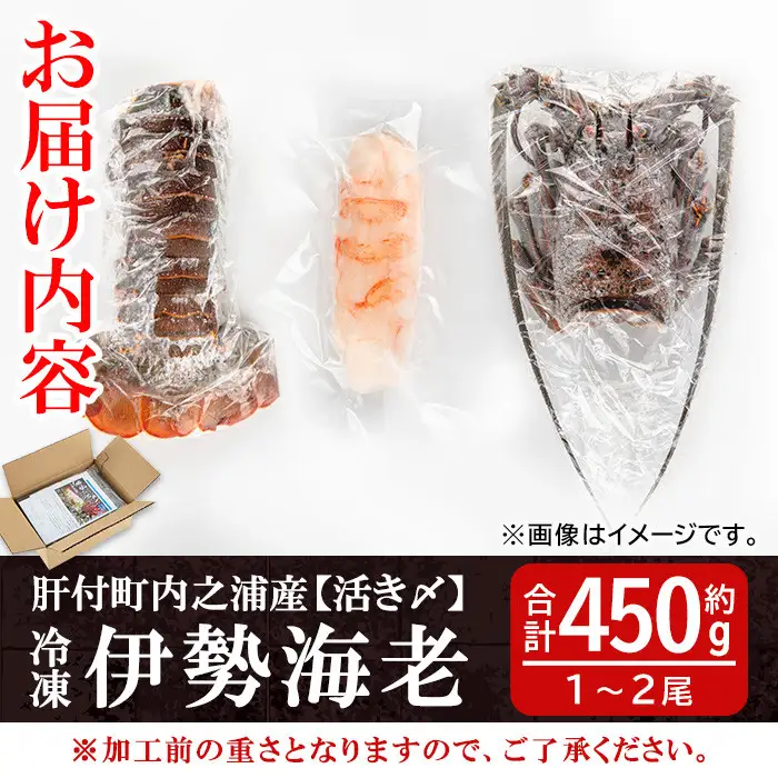 【活き〆冷凍】伊勢海老 刺身 (約450g) 鹿児島 国産 えび エビ 伊勢海老 さしみ 【網元】B47004