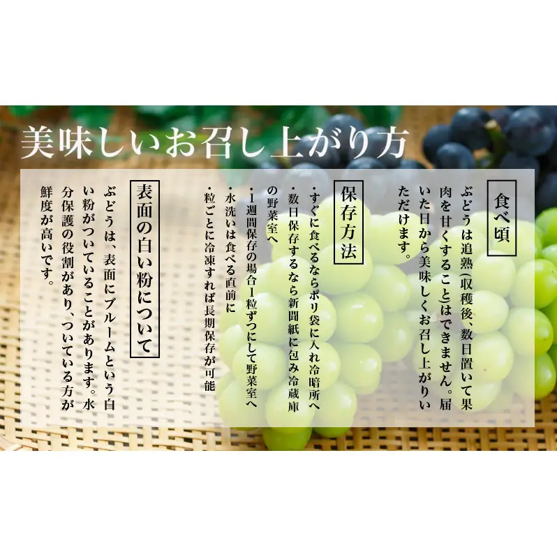 ぶどう 2026年 先行予約 シャイン マスカット 晴王 4房（1房480g以上）約2kg マスカット ブドウ 葡萄 岡山県産 国産 フルーツ 果物 ギフト 果物類 ぶどう 