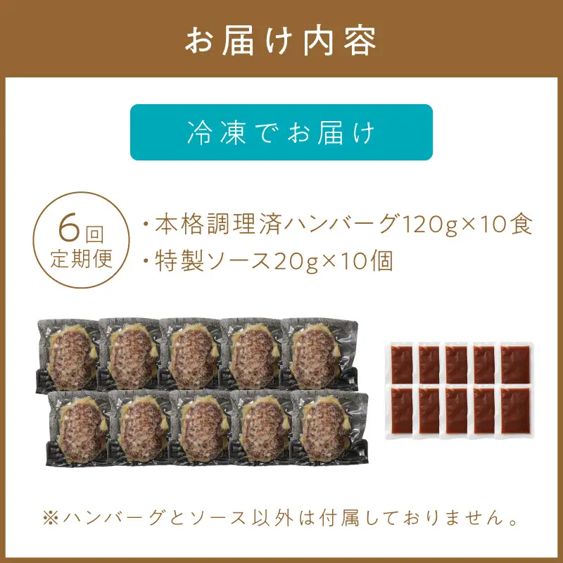 【6回定期便】本格調理済ハンバーグ10食 特製ソース付【001-0379】
