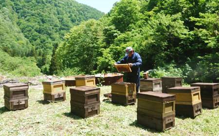 はちみつ 国産純粋はちみつとはちみつジャムのセット [ANDU003] はちみつ