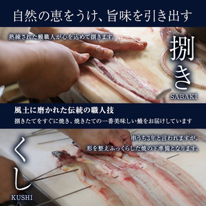 うなぎ蒲焼バラエティセット（三河産）【3ケ月連続お届け】 魚貝類 ウナギ 鰻 