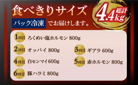 【全6回定期便】大村ホルモンセット計4.4kg / ホルモン 塩ホルモン 胃袋 焼肉 / 大村市 / 塩ホルモンろくめい[ACAO004]