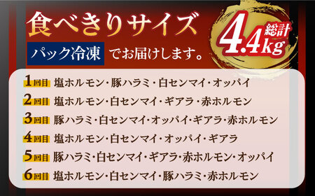 【全6回定期便】ろくめい 人気 バラエティー 定期便 計4.4kg / ホルモン 塩ホルモン 胃袋 焼肉 / 大村市 / 塩ホルモンろくめい[ACAO005]