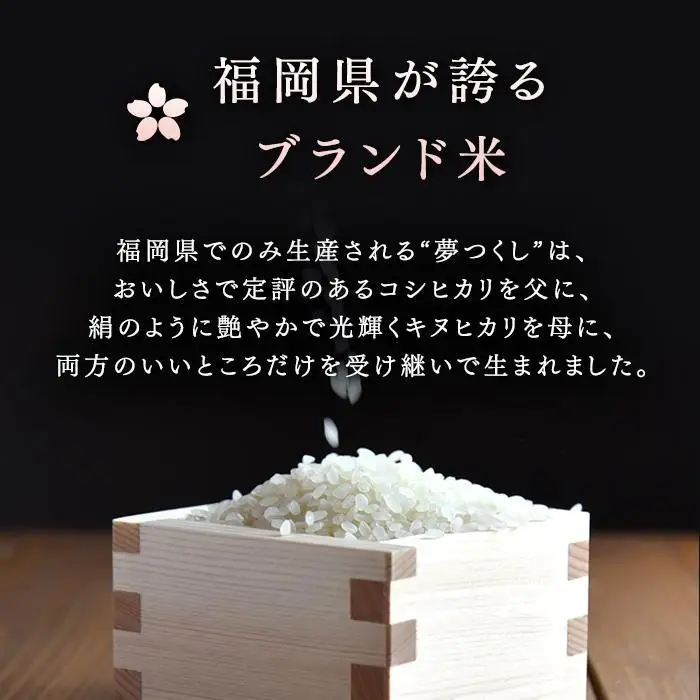 お米 夢つくし 玄米 PREMIUMパック 160g×24パック | パックご飯 パックごはん 玄米パック 非常食 保存食 福岡県産