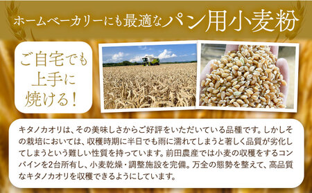 パン用小麦粉 キタノカオリ 北海道十勝 前田農産 10kg 1kg×10袋 有限会社 十勝太陽ファーム 送料無料 北海道 本別町《60日以内に出荷予定(土日祝除く)》小麦粉小麦粉小麦粉小麦粉小麦粉