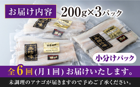 【全6回定期便】対馬産 西沖あなご 200g×3パック [WAA026] あなご アナゴ あなご 穴子