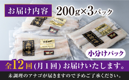 【全12回定期便】対馬産 西沖あなご 200g×3パック [WAA027] あなご アナゴ あなご 穴子