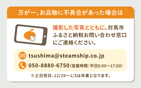 【24年1月限定発送】 対馬 つつ みかん 10kg  長崎 豆酘みかん ミカン 柑橘  [WBM005]