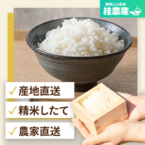 【数量限定】【3ヶ月定期便】【令和7年産】茨城県産こしひかり 計15kg（5kg×3回）（茨城県共通返礼品/城里町）（IH-2052）