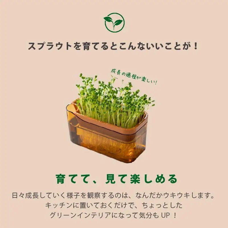 【ブラウン】ベジマジそだてる スプラウト栽培容器 種付き 水耕栽培 おしゃれ 家庭菜園