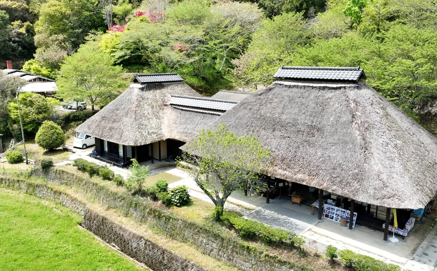 「男ノ子焼」湯呑 男ノ子焼（おのこやき） 薄づくり 軽い 手馴染み 柳川藩御用窯 登り窯 日常使い 贈り物 伝統再興 味わい深い湯呑 手づくりの温もり 数量限定 055-002