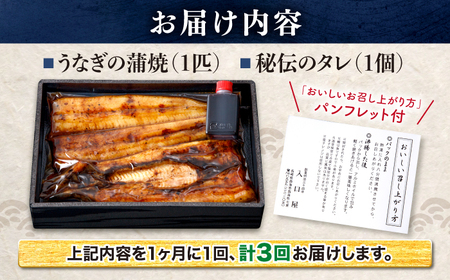 3回定期便 国産 うなぎ 1尾 CCA026 海鮮 鰻 うなぎ 贈答 ギフト ウナギ