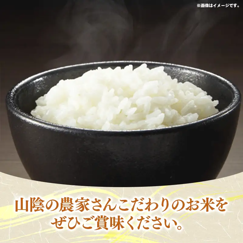 五ツ星お米マイスター厳選 能義平野のコシヒカリ 5kg 【令和7年産 精米 白米 ご飯 お米 こしひかり 美味しい 安心 安全 沼田米穀店 島根県 安来市】【価格変更】【14-NB-07】