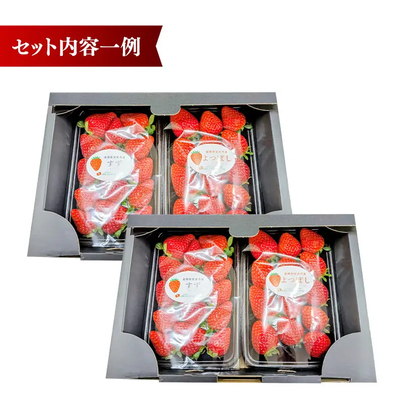 【先行予約】農場長厳選の美味しいいちご 1000g【250g×4パック 苺 詰め合わせ 厳選 フルーツ 果物 かおり野 紅ほっぺ よつぼし スターナイト すず 甘味 セット 化粧箱 島根県 安来市 安来市産】【18-MS-17】