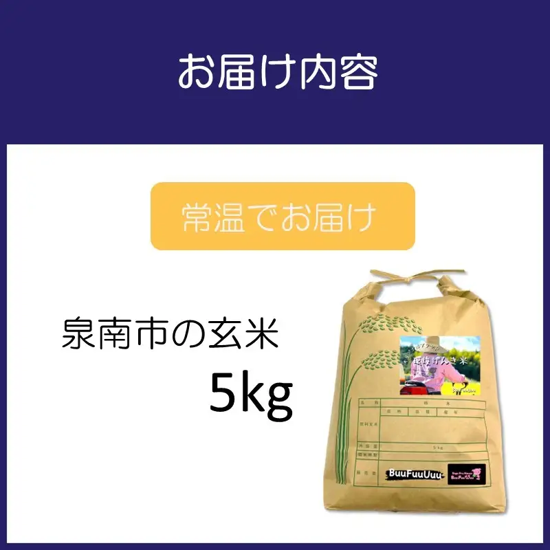 農業姉妹がこだわって栽培！大阪府産 泉南市の玄米 5kg【024D-007】