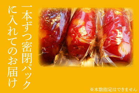 【2026年2月より順次発送】【さつまいも博/全国やきいもグランプリ ４年連続入賞！！】【『さつまいも博2024』私が好きな「冬いもスイーツ」部門　第１位】 超蜜やきいも（冷凍）約1kg分(FS-1)