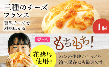 【12回定期便】グルテンフリー天然酵母の米粉パンセット 6個×12=総計72個【米粉パン専門店・cafeまごころ米て】国産 食パン 惣菜パン 菓子パン [MDH016]