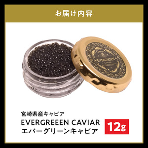 宮崎県産キャビアEVERGREEENCAVIARエバーグリーンキャビア12g N0183-YC221