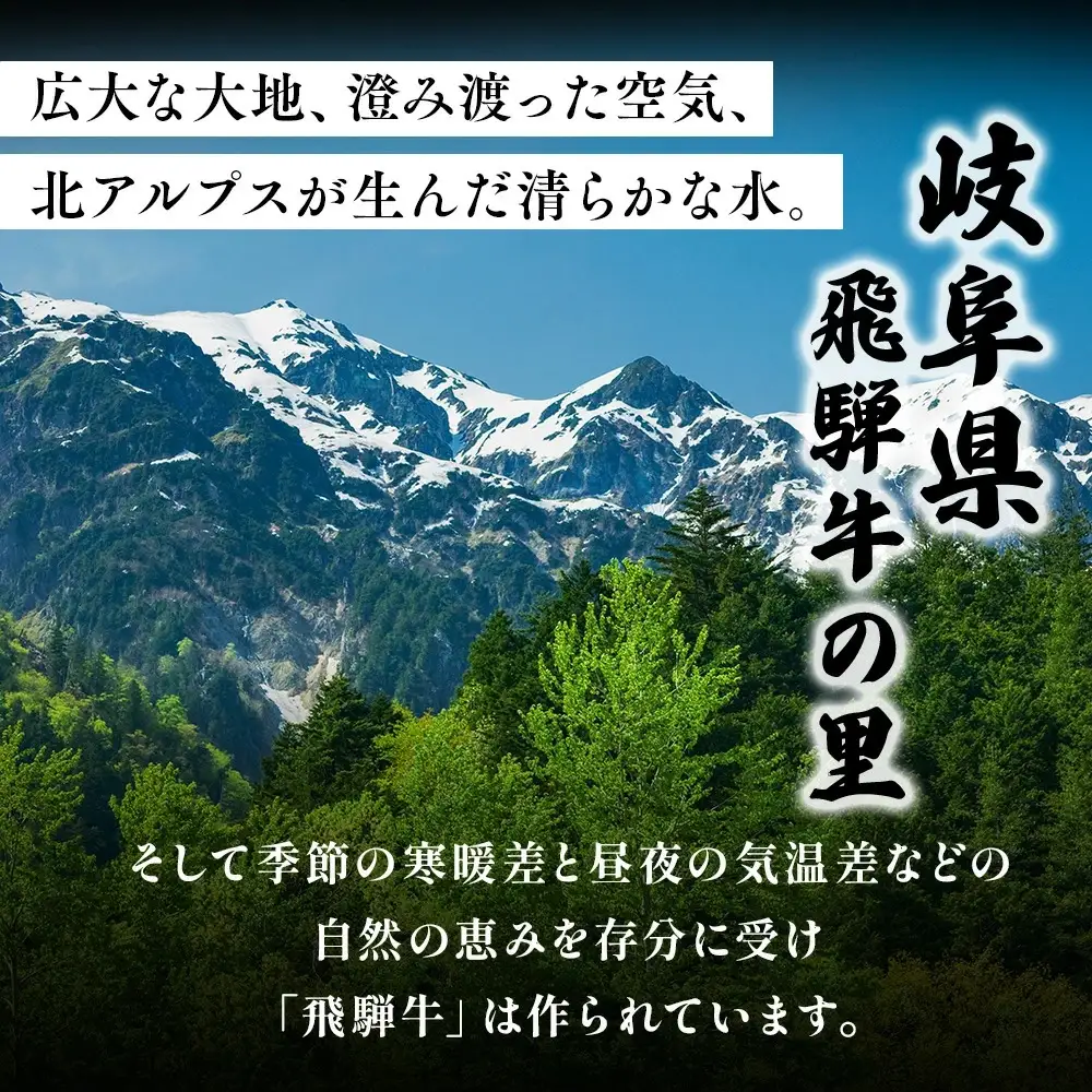 飛騨牛　バラ　しゃぶしゃぶすき焼き用2kg ｜国産 和牛 牛肉