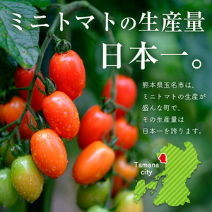 ミニトマト アイコ 約2kg  | サザキ農園